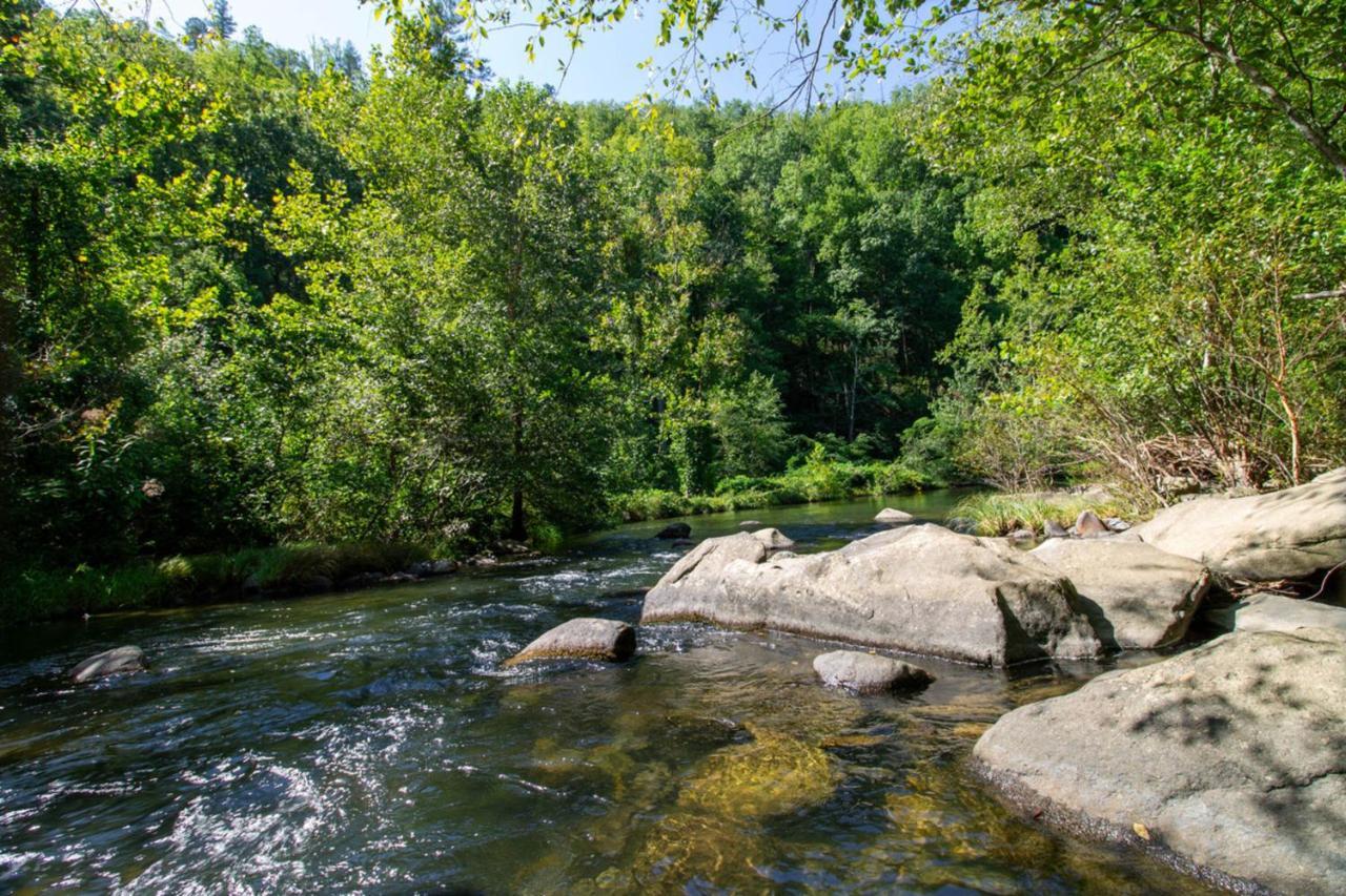 Mountain Haven Dragon's Nest Robbinsville